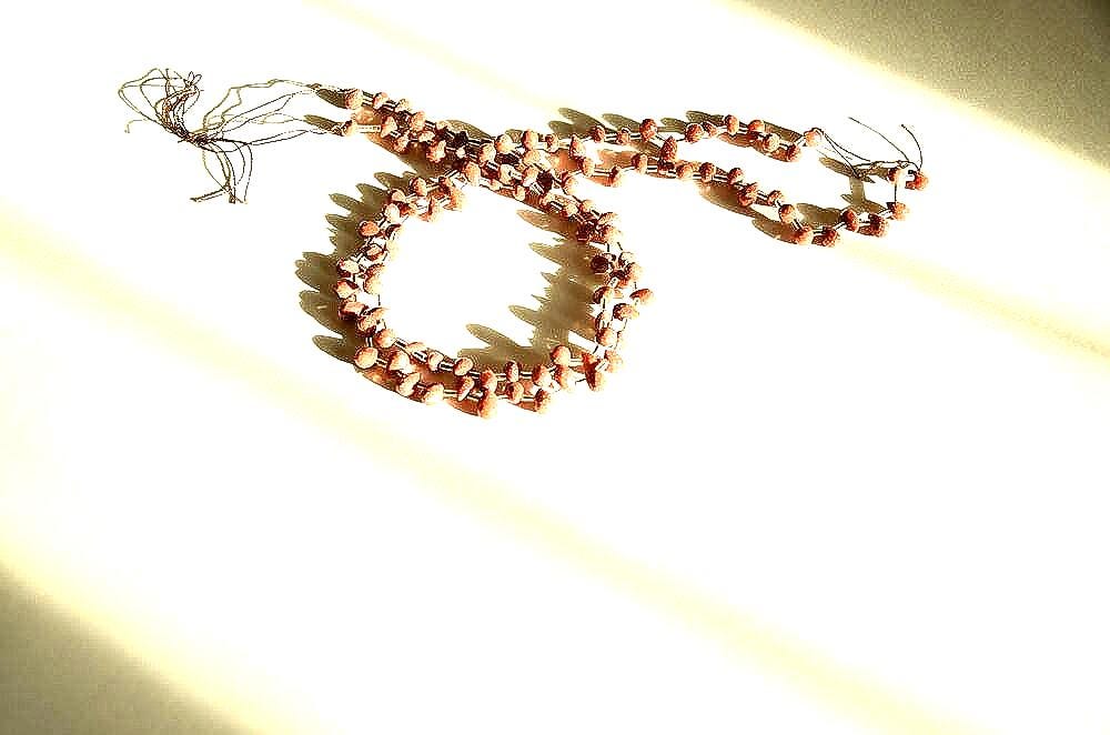 AAAGold stone Briolette6x8 mm appx Faceted, side drill , Brown, Shiny like stars